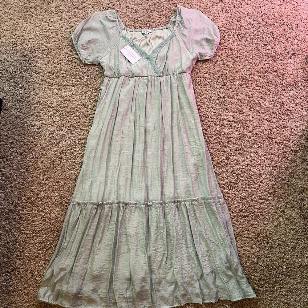 NWT Polagram Dress in Soft Green